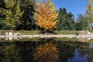 Orcutt Ranch in West Hills, CA