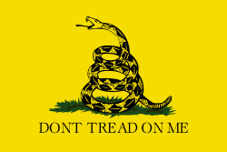 Don't Tread on Me Flag